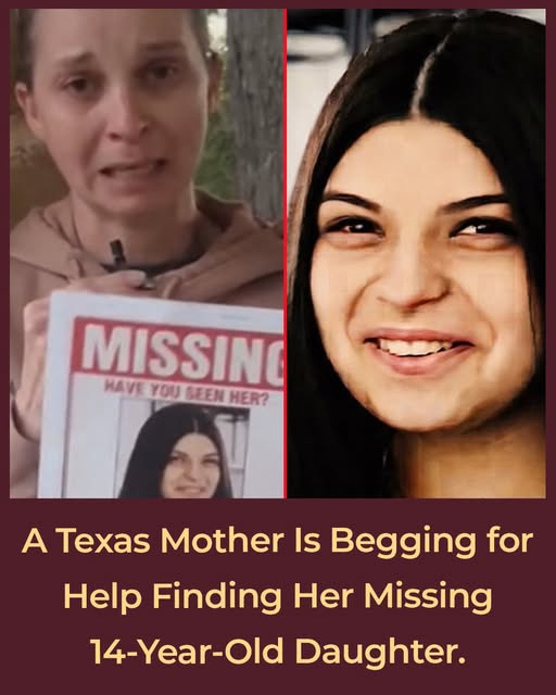 Ariel Romo Missing: Texas Family Appeals for Help Finding 14-Year-Old Girl